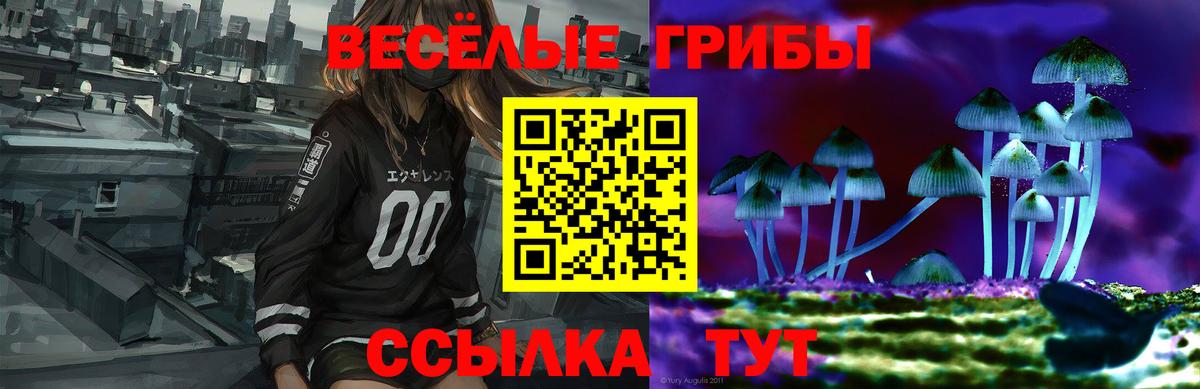 Псилоцибиновые грибы MAGIC MUSHROOMS  Псилоцибиновые грибы Magic Shrooms  Лабинск  Вход с VPN 